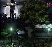 MedalOfHonor_240x320_rus